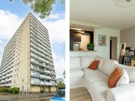 Waddenstraat 317, 2036 LH Haarlem