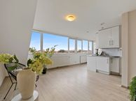 De Genestetlaan 206-B, 2522 LT Den Haag