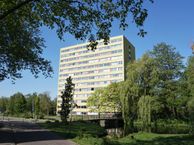 Boeierstraat 133, 1443 EG Purmerend