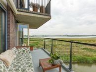 Papegaaiduikerplein 12, 2492 PP Den Haag