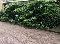 Ketsheuvel 5, 6871 EA Renkum