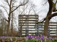 Top Naefflaan 82, 9721 VE Groningen