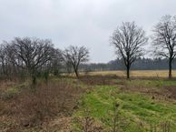 Oude Veensegrindweg, 3911 TA Rhenen