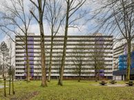 Petmolen 38, 1035 BG Amsterdam