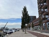 Maashavenweg 186, 3072 AZ Rotterdam