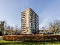 Dignaland 54, 2591 CD Den Haag