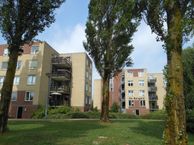 De Bongerd 52, 3863 ZV Nijkerk