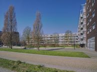 Merelstraat 125, 2352 VC Leiderdorp