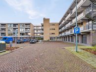 Campanula 62, 3317 HD Dordrecht