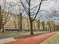 Van Nijenrodeweg 299, 1082 HA Amsterdam