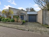 Hondstong 4, 1964 LH Heemskerk