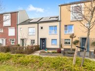 Spinsteen 73, 1967 CX Heemskerk