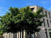 Wulpstraat 55, 3582 AW Utrecht