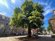 Rhijngeesterstraatweg 40-S, 2341 BV Oegstgeest