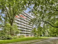 Bolestein 286, 1081 EC Amsterdam