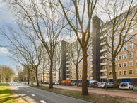 Van Nijenrodeweg 251, 1082 GW Amsterdam