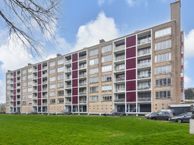 Van Alkemadelaan 874, 2597 BE Den Haag