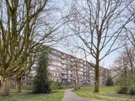 Cederstraat 143, 5037 JD Tilburg