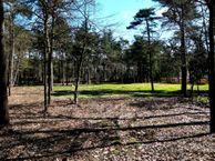 Hondsbergselaan, 5062 JR Oisterwijk