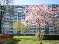 Dommeringdreef 45, 3562 AM Utrecht