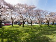 Pallas 23, 9602 LH Hoogezand