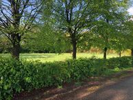 De Wolfsputten, 5709 PB Helmond