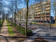 Koning Lodewijklaan 170, 7314 GL Apeldoorn