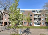 Nieuwe Bouwlingstraat 50, 4901 KJ Oosterhout (NB)