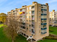 Van Alkemadelaan 910, 2597 BG Den Haag