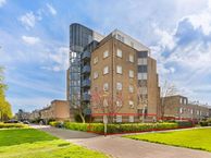 Dotterbloem 1, 1991 KA Velserbroek