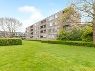 Ruigoord 31, 3079 XM Rotterdam