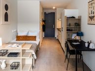 Andre van der Louwbrug, 3011 WM Rotterdam