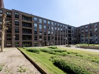 Buxusplaats 75, 5038 HK Tilburg