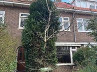 Boerhaavelaan 37, 5644 BB Eindhoven