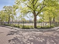 Joris van der Haagenstraat 42, 2525 TR Den Haag