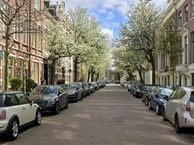 Balistraat 37, 2585 XL Den Haag