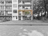 De Reiger 175, 7905 GL Hoogeveen