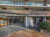 Populierendreef 115, 2272 RC Voorburg