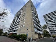 Waddenstraat 387, 2036 LK Haarlem