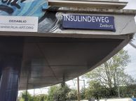 Insulindeweg 6, 1094 PJ Amsterdam