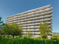 Hobokenstraat 519, 4826 EJ Breda