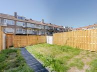 Pleinweg 50-D, 3083 EG Rotterdam