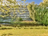 Condorhorst 38, 2317 AR Leiden