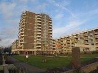 Nesciolaan 28, 9752 HL Haren (GR)