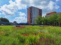 Trambaan 55, 8441 BH Heerenveen