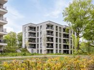 Jonkheer 6, 5663 CZ Geldrop