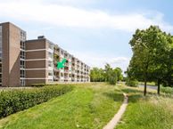 Bowierstraat 55, 5213 XG Den Bosch