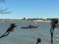 Vegastraat 15, 3077 BV Rotterdam