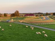 Grândyk 9, 9151 AE Holwert