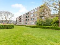 Ruigoord 31, 3079 XM Rotterdam